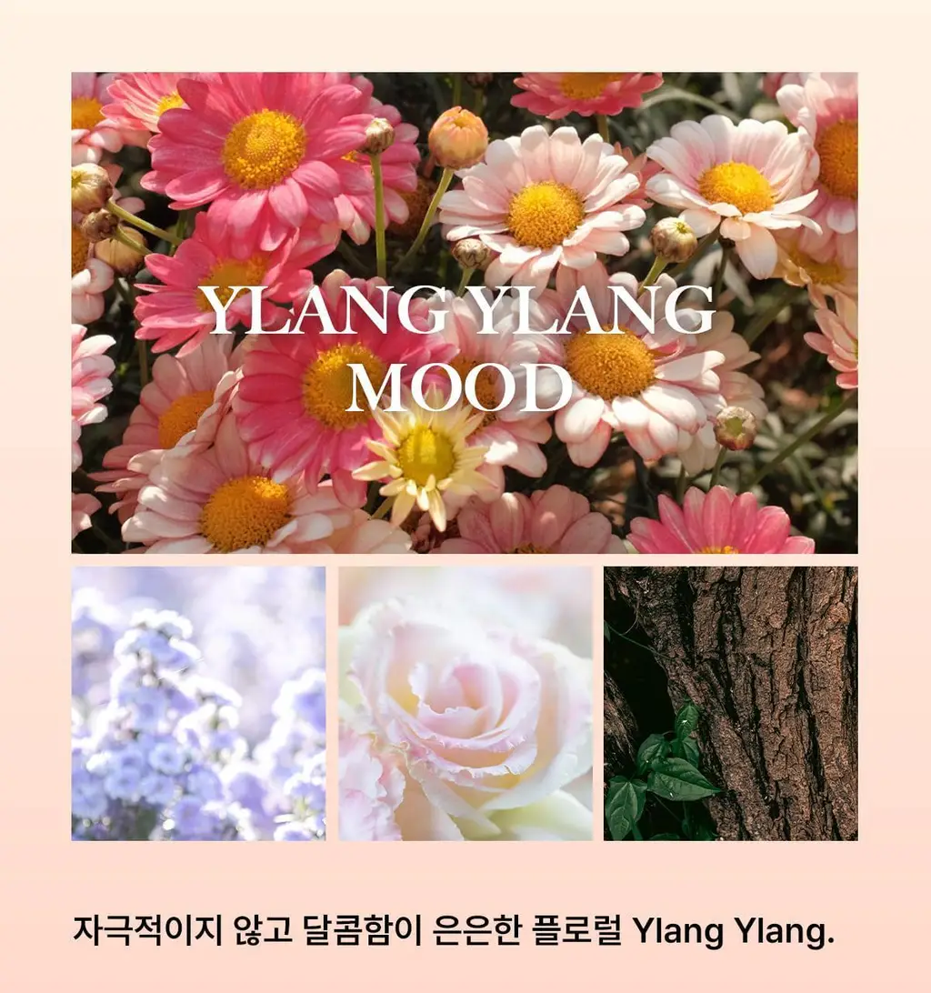 [보이넥스트도어 PICK] 비비앙 니치 섬유향수 2개입 기프트세트 3종 택 1 상세페이지 21
